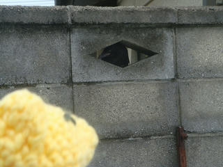 0520DSC04518.jpg