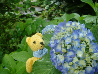 0529DSC04935.jpg