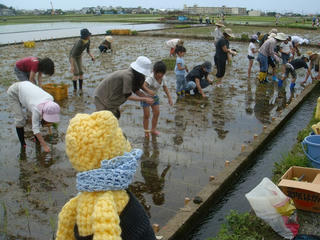 0607DSC05029.jpg