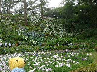 0610DSC05199.jpg