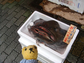 0613DSC05182.jpg