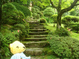 0627DSC05266.jpg