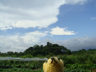 0710DSC05470.jpg