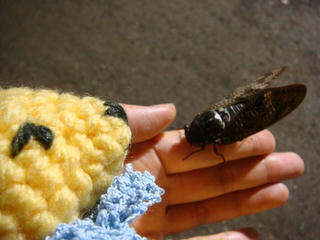 0727DSC05756.jpg