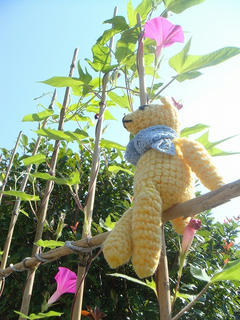 0817DSC06029.jpg