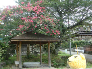 0825DSC06224.jpg