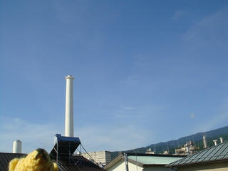 0828DSC06245.jpg