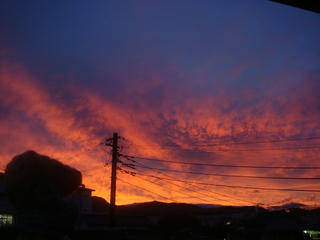 0831DSC06337.jpg