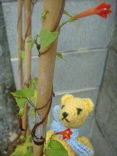 0902DSC06342.jpg