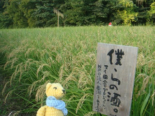 0910DSC06501.jpg