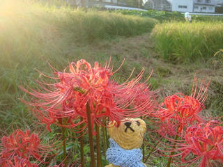 0913DSC06494.jpg