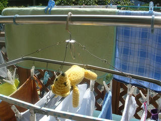 0914DSC06531.jpg