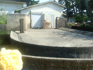 0917DSC06598.jpg