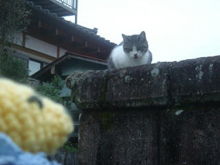 DSC06752.jpg