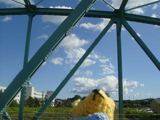1008DSC06777.jpg