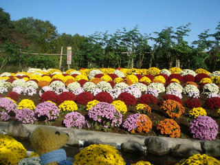 1103DSC07278.jpg