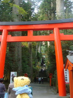 1114DSC07365.jpg