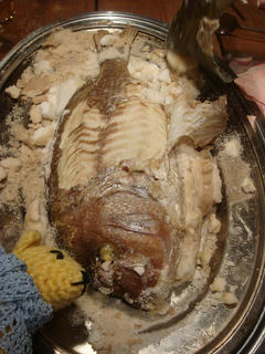1120-1DSC07425.jpg