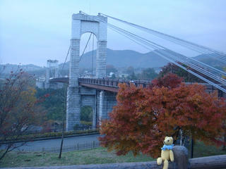 1125DSC07537.jpg