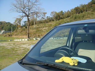 1202DSC07625.jpg