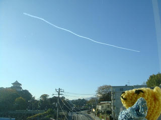 1204DSC07627.jpg