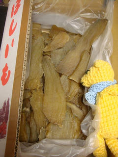 1208DSC08067.jpg