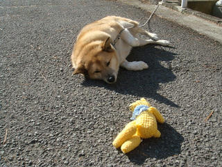 1209DSC07968.jpg