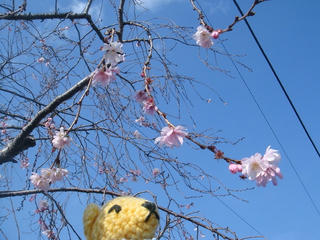 1217DSC08140.jpg