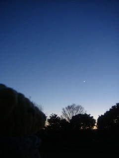 1219DSC08181.jpg