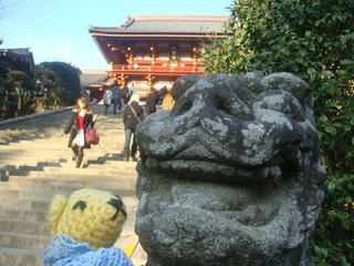 1231DSC08208.jpg