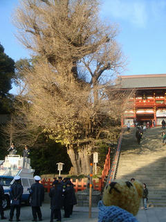 1231-1DSC08215.jpg
