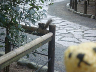 1226DSC08216.jpg