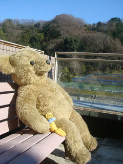 0105DSC08330.jpg