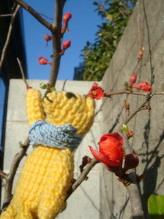0107DSC08335.jpg