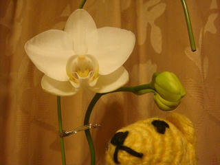 0112DSC08351.jpg