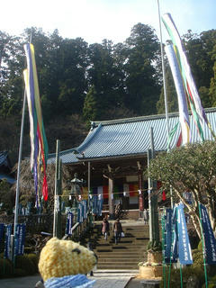 0113DSC08355.jpg