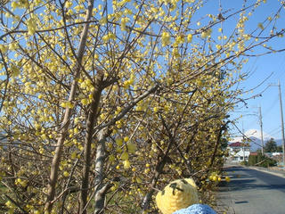 0117DSC08486.jpg