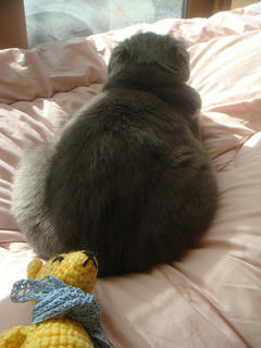 0118DSC08320.jpg