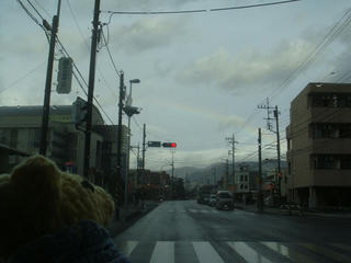 DSC08540s.jpg