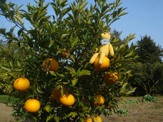 0204DSC08545.jpg