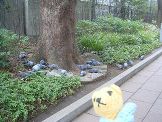 0216DSC08654.jpg