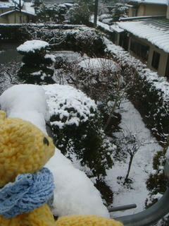 0218DSC08744.jpg