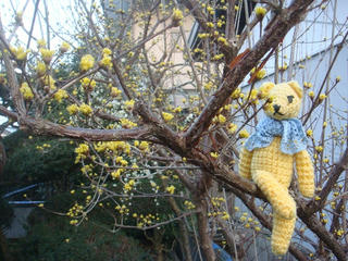 0224DSC08831.jpg