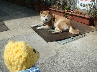 0312DSC08903.jpg