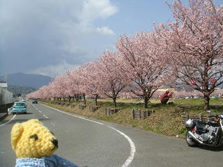 0315DSC08923s.jpg