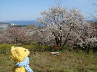 0330DSC09250.jpg