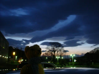 0331DSC09316.jpg