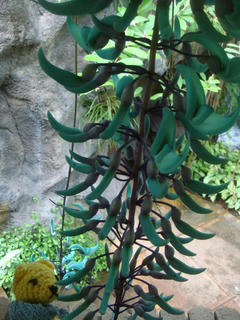 DSC09343.jpg