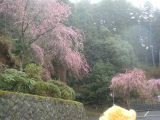 0407-3DSC09332.jpg