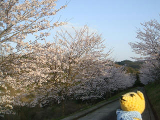 0407-4DSC09418.jpg